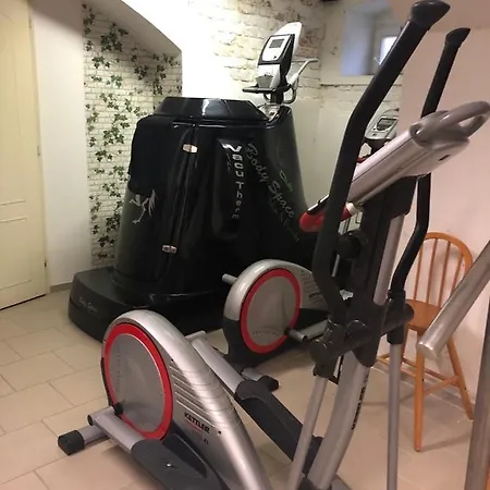 Mahlerova Apartmán Jihlava